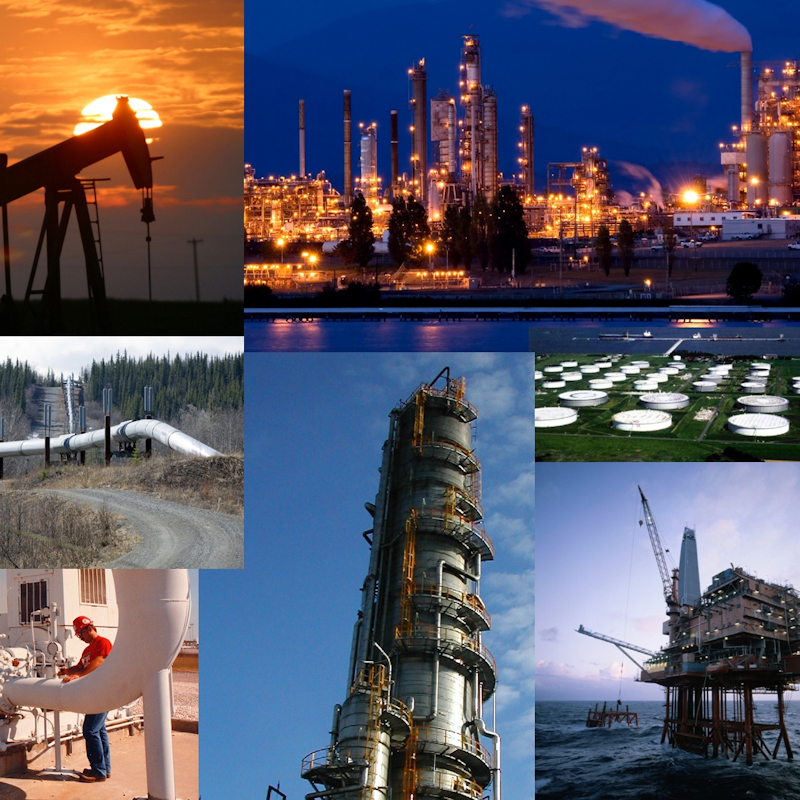 Petroleum and petrochemicals